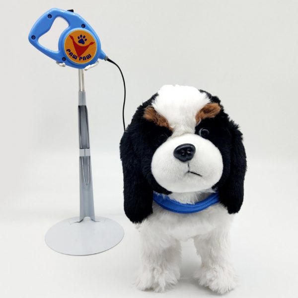 Leash Control Border Collie - Image 2