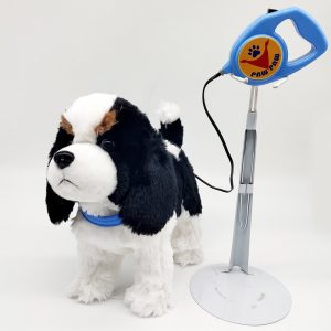 Leash Control Border Collie