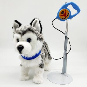 Leash Control Husky