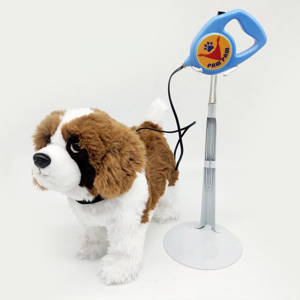 Leash Control Saint Bernard