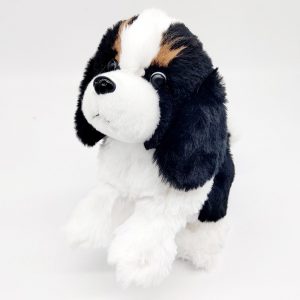 Up&Down And Tail Wagging Border Collie