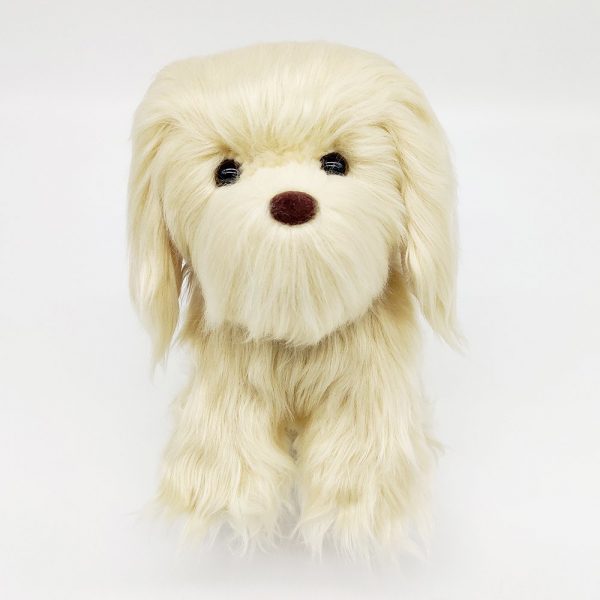 Up&Down And Tail Wagging Modowd - Image 2