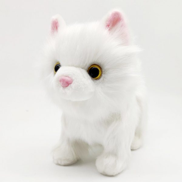 Walking White Cat