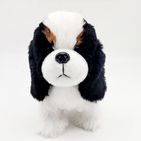 Walking Border Collie - Image 2