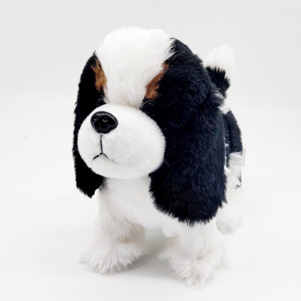 Walking Border Collie