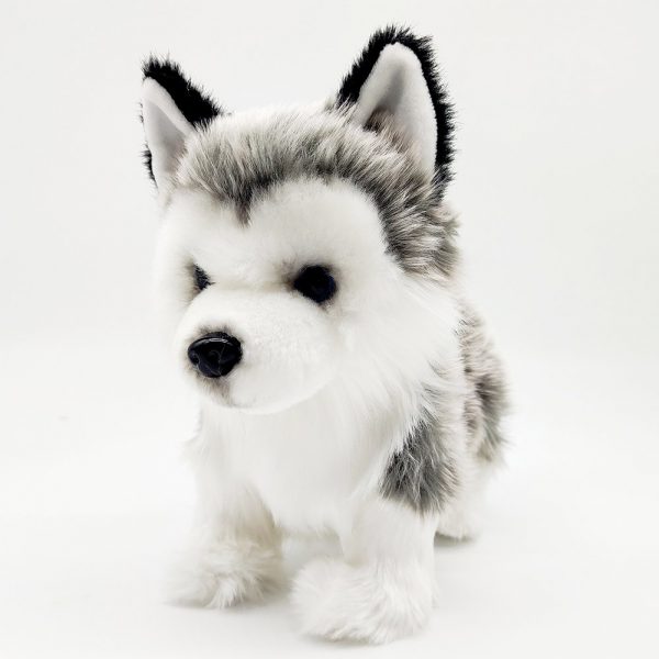 Walking Husky