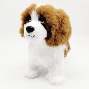 Walking Saint Bernard